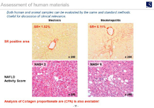 Assessment of human materials