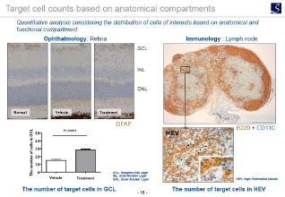 Target cell counts based on anatomical compartments