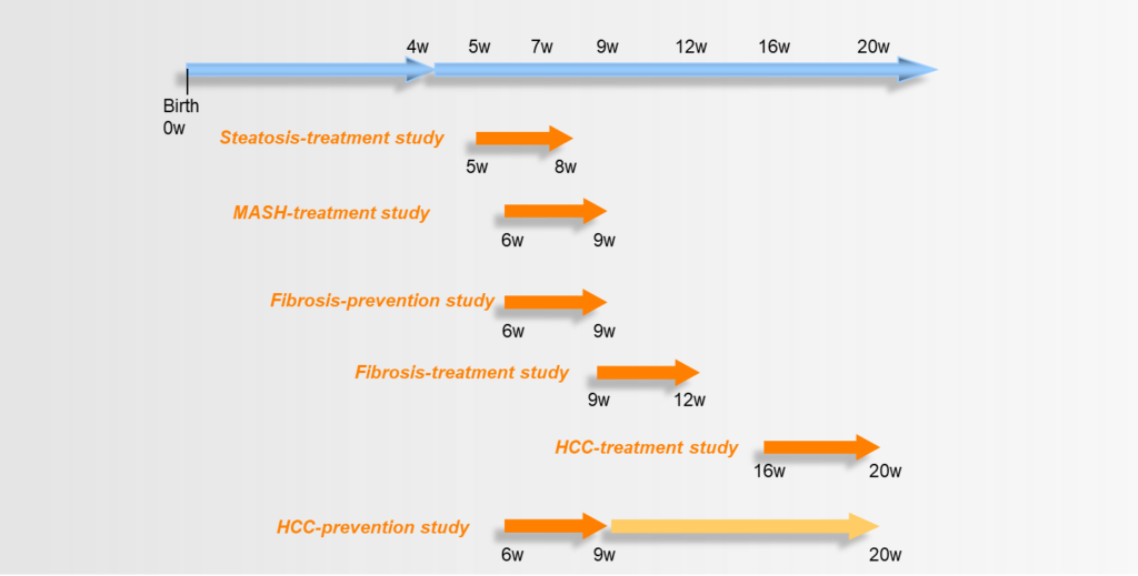 Suggested Treatment Periods in the STAM model