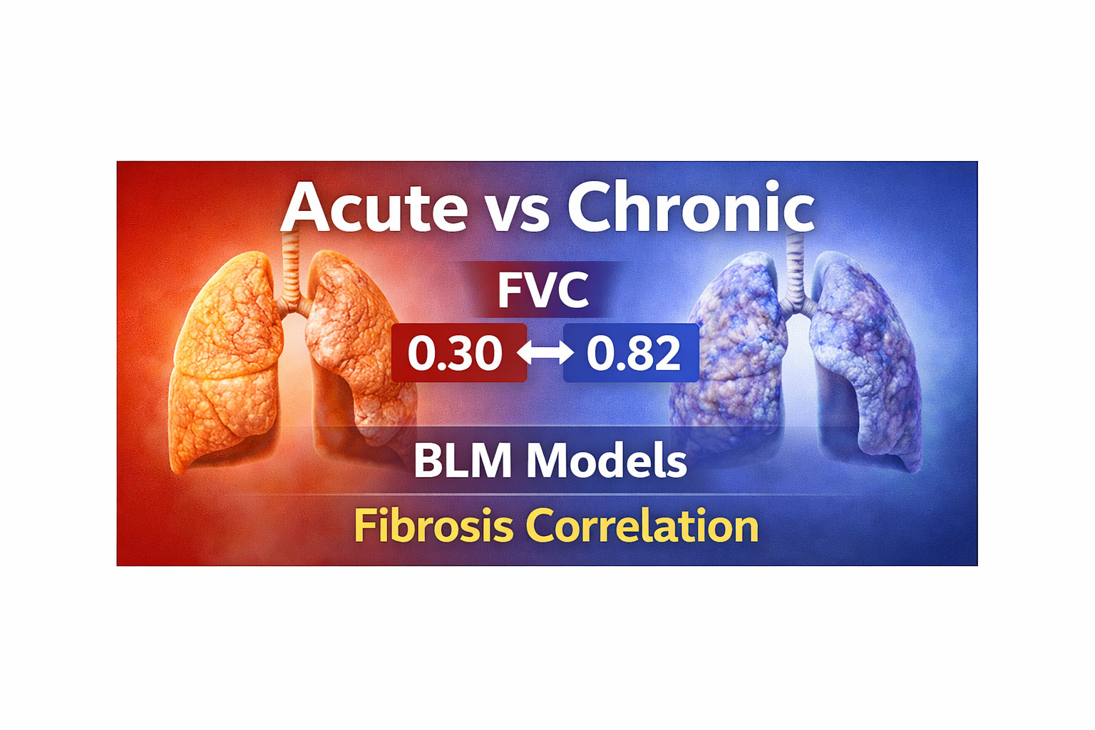 Acute vs Chronic BLM Models | Fibrosis–FVC Correlation Explained